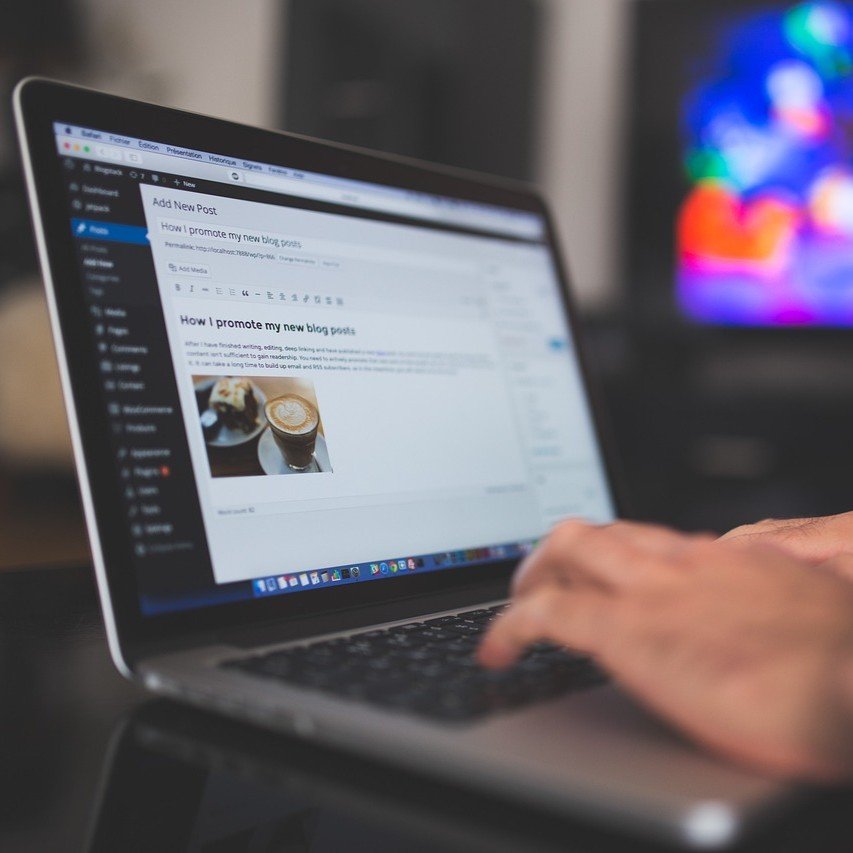 wordpress website developmement